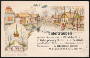 1899 Millenniumi díjjegyes levelezőlap a hátoldalon reklám felülnyomással, "FEHÉRTEMPLOM" - "ELGERSBURG"