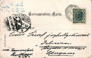 1905 Bolzano, Gries-Bozen (Südtirol); view. Purger &amp; Co. 650. (fa)