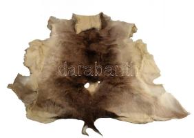 Kecske? prém, szakszerűen kikészítve, cca 120x110 cm