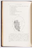 Herman Ottó: A magyar nép arcza és jelleme. Bp., 1902., Kir. M. Természettudományi Társulat,(Hornyán...