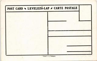 Marosvásárhely, Targu Mures; irredenta művészlap a nemzetiségek arányával és címerrel. Pátria R.T. k...
