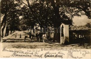 1906 Villa Lagarina, Viale dei Tigli. G. Libera / street (EK)