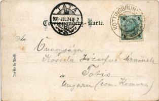 1901 Bad Vöslau, view. Schneider &amp; Lux (fl)