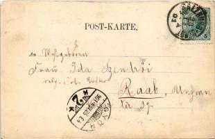 1901 Salzburg, Steingasse. Würthle &amp; Sohn / street (EK)