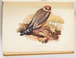 Herman Ottó: A madarak hasznáról és káráról. Darányi Ignácz m. kir. földmivelésügyi minister megbizá...