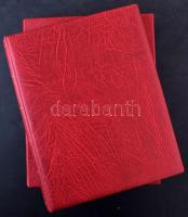 Leuchtturm kisív / blokk gyűrűs berakó, tokkal, benne 3-2-1-es osztású lapok, jó állapotban