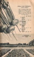 A Mauthner Ödön Magtermelő és Magkereskedő Rt. aktuális vető- és virágmag-árjegyzéke. (1942.)
Budap...