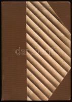 Lévay emlékkönyv. A költő [Lévay József (1825-1918)] Kisfaludy-társasági tagságának ötvenedik évford...