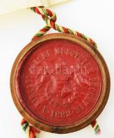 1928 Bp., a M. Kir. József Műegyetem által kiállított közgazdaságtudományi doktori oklevél Zelovich ...