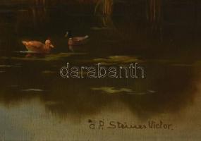 d. P. Steiner Victor jelzéssel, XX. sz. első fele: Vízpart csónakossal és kacsákkal. Olaj, vászon. D...