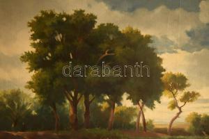 d. P. Steiner Victor jelzéssel, XX. sz. első fele: Vízpart csónakossal és kacsákkal. Olaj, vászon. D...