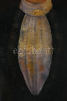 Márkus P jelzéssel: Női portré, 1899. Olaj, vászon. Javított. Dekoratív, kissé kopott fakeretben. 67...