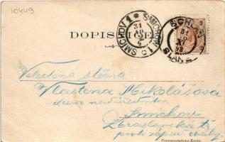 1898 Slany, Schlan; general view (fl)