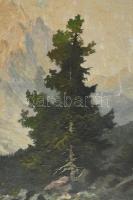 Olvashatatlan (Schmied?) jelzéssel, XX. sz. eleje: Hegyvidéki táj. Olaj, vászon. Javítot, sérült, 70...