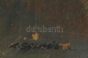 Olvashatatlan (Schmied?) jelzéssel, XX. sz. eleje: Hegyvidéki táj. Olaj, vászon. Javítot, sérült, 70...