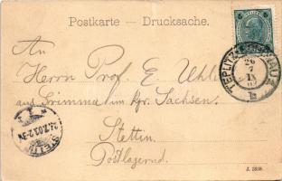 1903 Teplice, Teplitz-Schönau; Schlossberg / castle. Art Nouveau (fl)