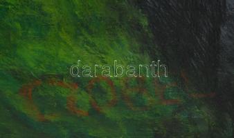 Czóbel jelzéssel: Női portré. Olaj, vászon. Apró sérüléssel, 90×70 cm