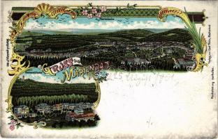 1901 Mariánské Lázne, Marienbad; Marienbad, Ferdinandstrasse. Carl Kohn Art Nouveau, floral, litho (EK)