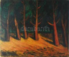 Barcsay jelzéssel: Erdőrészlet. Olaj, vászon. 50x60 cm