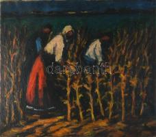 Koszta jelzéssel: Kukoricásban. Olaj, vászon. 60x67 cm