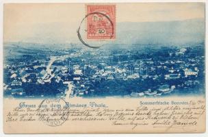 1900 Bozovics, Bozovici; Almáser Thale, Sommerfrische / látkép, villák / view, villas (vágott / cut)