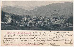 1902 Abrudbánya, Abrud; látkép. Róth Ferenc kiadása / general view (EB)
