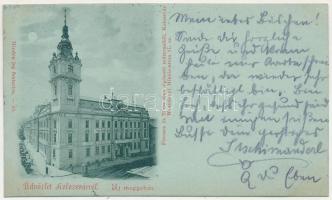 1899 Kolozsvár, Cluj; Új megyeház. Ferencz és Társa fényképészeti műterméből / new county hall (vágott / cut)
