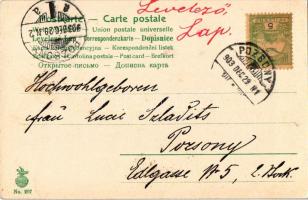 1903 Prosit Neujahr / New Year greeting art postcard, lady with pigs. litho (fl)