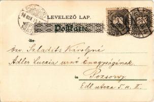 1898 Children art postcard. Theo. Stroefer's Kunstverlag Aquarell-Postkarte Serie IV. No. 3370....