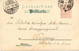 1899 Children riding bicycles. Lith. Artist. Anstalt Serie 38. litho (fl)