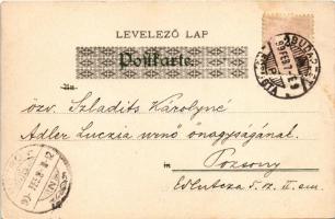 1899 Children art postcard. Theo Stroefer's Kunstverlag Aquarell-Postkarte Serie V. Floral, lit...