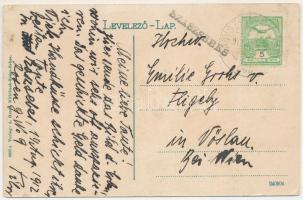 1912 Szászsebes, Mühlbach, Sebesul Sasesc, Sebes; Erlenpark. A. Gross / park + "NAGYSZEBEN - AL...