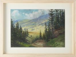 Gimes Lajos (1886-1945): Hegyvidéki táj, 1907. Olaj, papír, jelzett, üvegezett fakeretben, 22×30 cm