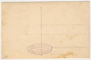 Nagysink, Gross-Schenk, Cincul Mare, Cincu; csoportkép / group picture. Emil Tschurl photo (fl)