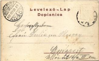 1902 Zagreb, Zágráb; Pogled na Stolnu crkvu sa nadbiskupskim dvorom / cathedral and bishop's pa...