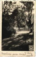 1941 Belatinc, Bellatincz, Beltinci; Zichy kastély parkja / castle park. photo (fa)