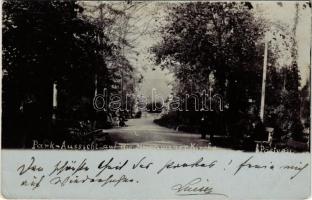 1901 Pöstyén, Piestany; Park-Aussicht auf die Moravaner Kirche / park részlet / park. photo (EK)