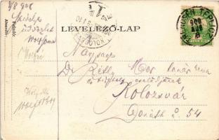 1908 Trencsénteplic, Trencianske Teplice; Villavölgy / Villental / villas (EK)