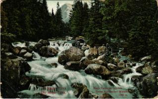 1910 Tátra, Magas-Tátra, Vysoké Tatry; Nagy-Tarpataki vízesés. Divald Károly műintézete 1822-1908. / Gross Kohlbacher Wasserfall / waterfall (kopott sarkak / worn corners)