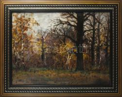 Olvashatatlan jelzéssel: Erdőrészlet. Olaj, vászon. Javított. Dekoratív fakeretben. 60x80 cm