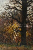 Olvashatatlan jelzéssel: Erdőrészlet. Olaj, vászon. Javított. Dekoratív fakeretben. 60x80 cm