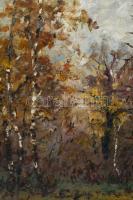 Olvashatatlan jelzéssel: Erdőrészlet. Olaj, vászon. Javított. Dekoratív fakeretben. 60x80 cm