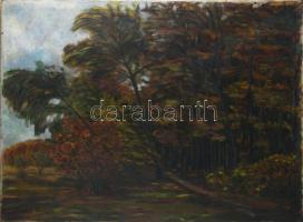 Kernstok Károly jelzéssel: Erdőrészlet. Olaj, vászon. Kissé sérült. 60x80 cm