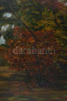 Kernstok Károly jelzéssel: Erdőrészlet. Olaj, vászon. Kissé sérült. 60x80 cm