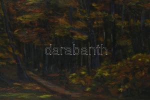 Kernstok Károly jelzéssel: Erdőrészlet. Olaj, vászon. Kissé sérült. 60x80 cm