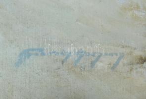 Olvashatatlan jelzéssel, XX. sz. első fele-közepe: Karaván. Olaj, karton. Apró felületi sérüléssel. ...