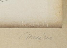 Olvashatatlan jelzéssel: Egoizmus. Tus, papír, 31,5x25 cm. Üvegezett fakeretben