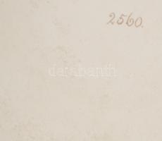 Haas &amp; Czjek antik porcelán szervírozótálca, jelzett, kis kopással, d: 37 cm