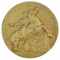 Olaszország 1954. "Torino Tartományi Idegenforgalmi Hivatal / 1954-es Torinoi Úszó-, Műugró- és...