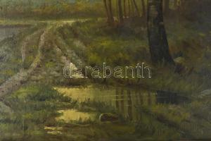 Tábori jelzéssel: Vízparti táj- Olaj, vászon. Dekoratív, kissé sérült fakeretben. 47x57 cm